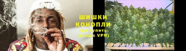 прущие крисы Аркадак