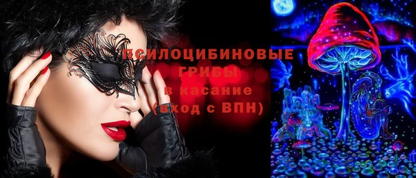 стаф Арсеньев